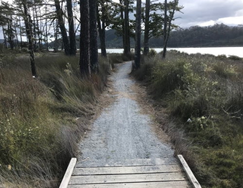 Tangatarori Lane Boardwalk